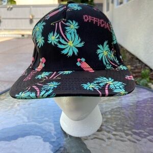 “Official” Baseball Cap SnapBack OSFA